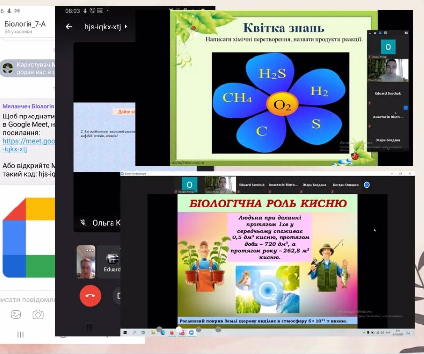 Screenshot_20210331-121225_Zoom