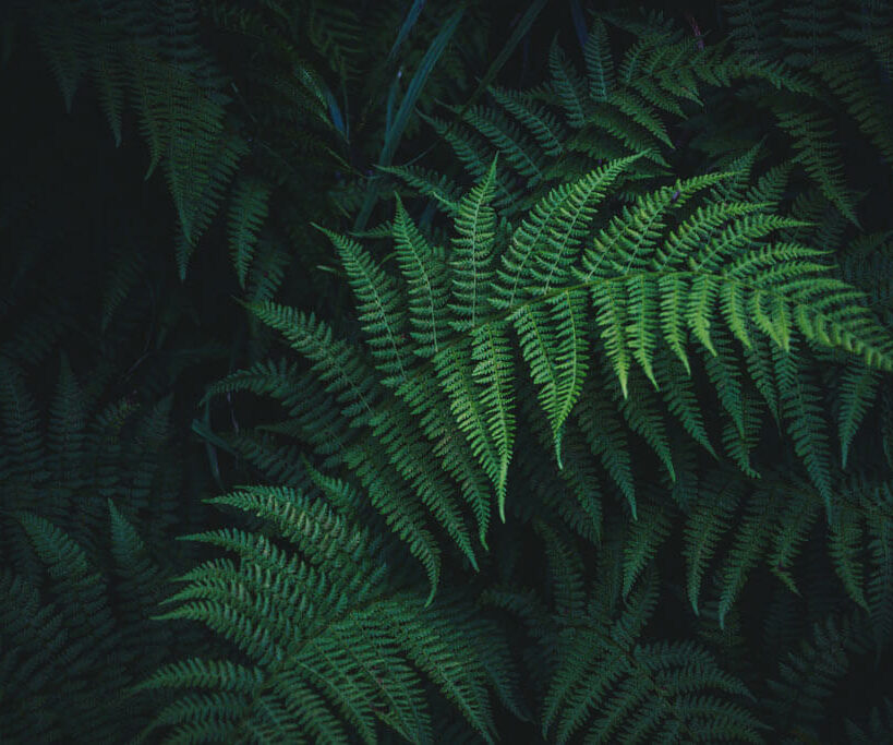 nick-cooper-731773-unsplash-1