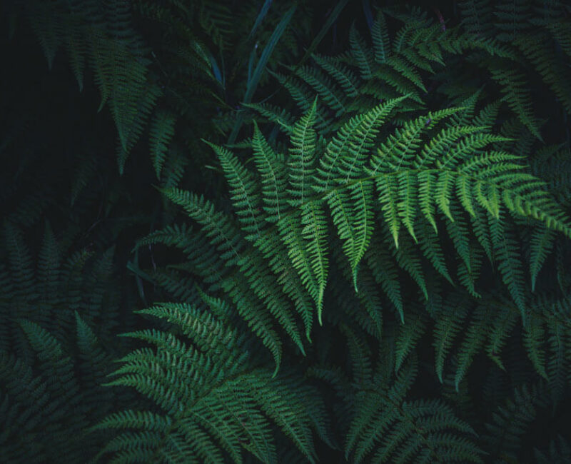 nick-cooper-731773-unsplash-3