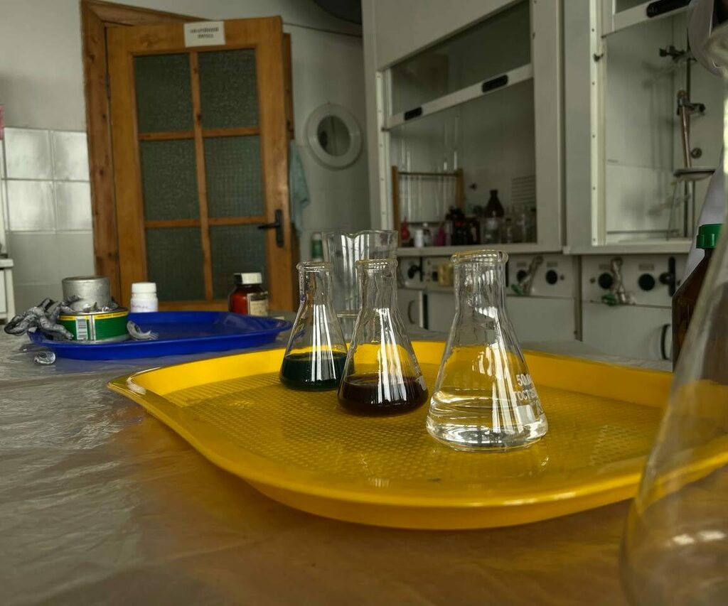 photo_2024-04-02_12-13-53